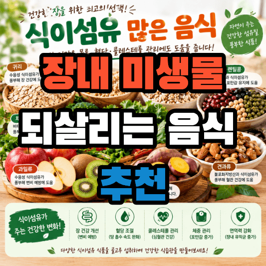 장 건강 식이섬유
