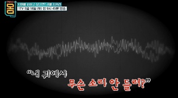 이명
