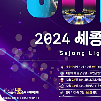 세종시 빛 축제