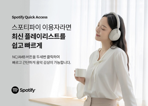 소니 블루투스 헤드폰