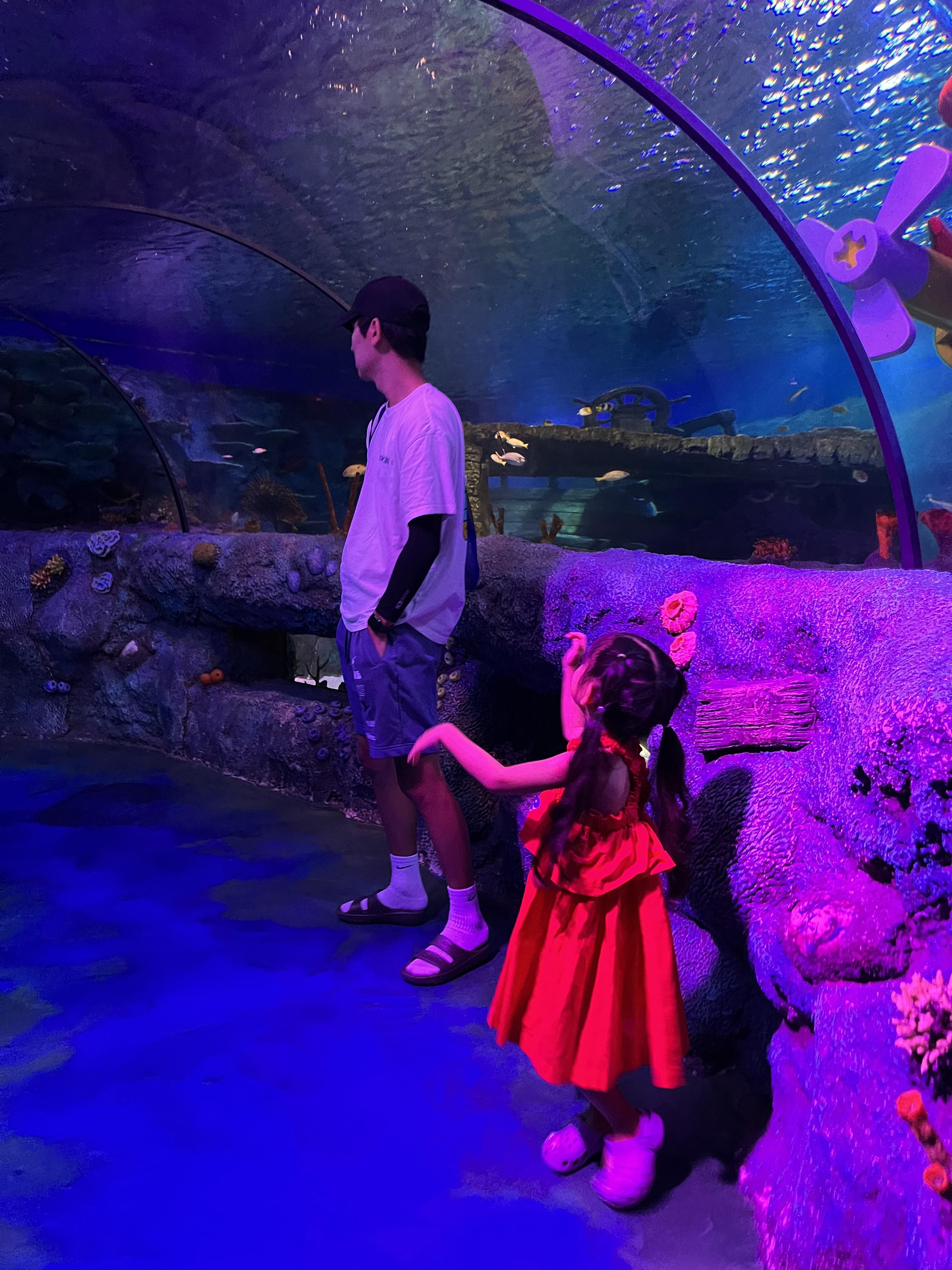 조호바루-레고랜드-씨라이프