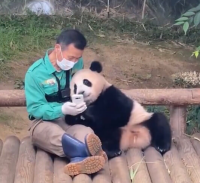 푸바오와-할아버지-강철원-사육사