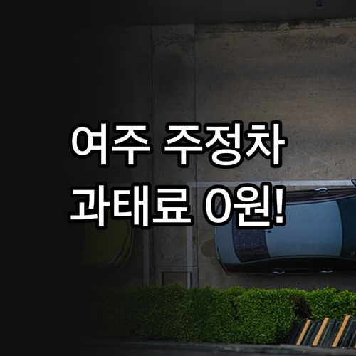 여주 주정차 단속 알림 서비스 등록으..