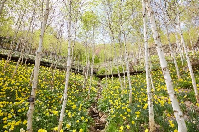 화담숲 예약 취소