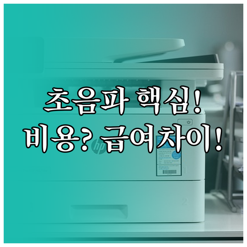 초음파 검사 목적에 따라 달라지는 환..