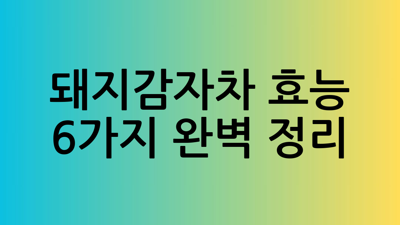 돼지감자차 효능 6