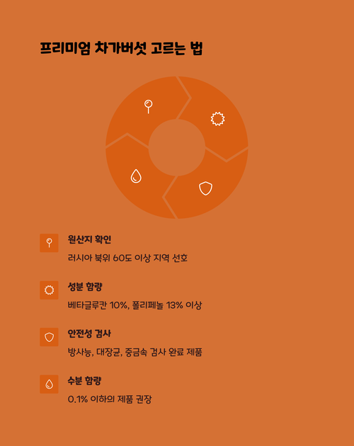차가버섯분말의 선택 가이드