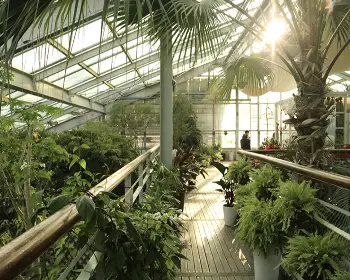 서울숲 공원 주차장18