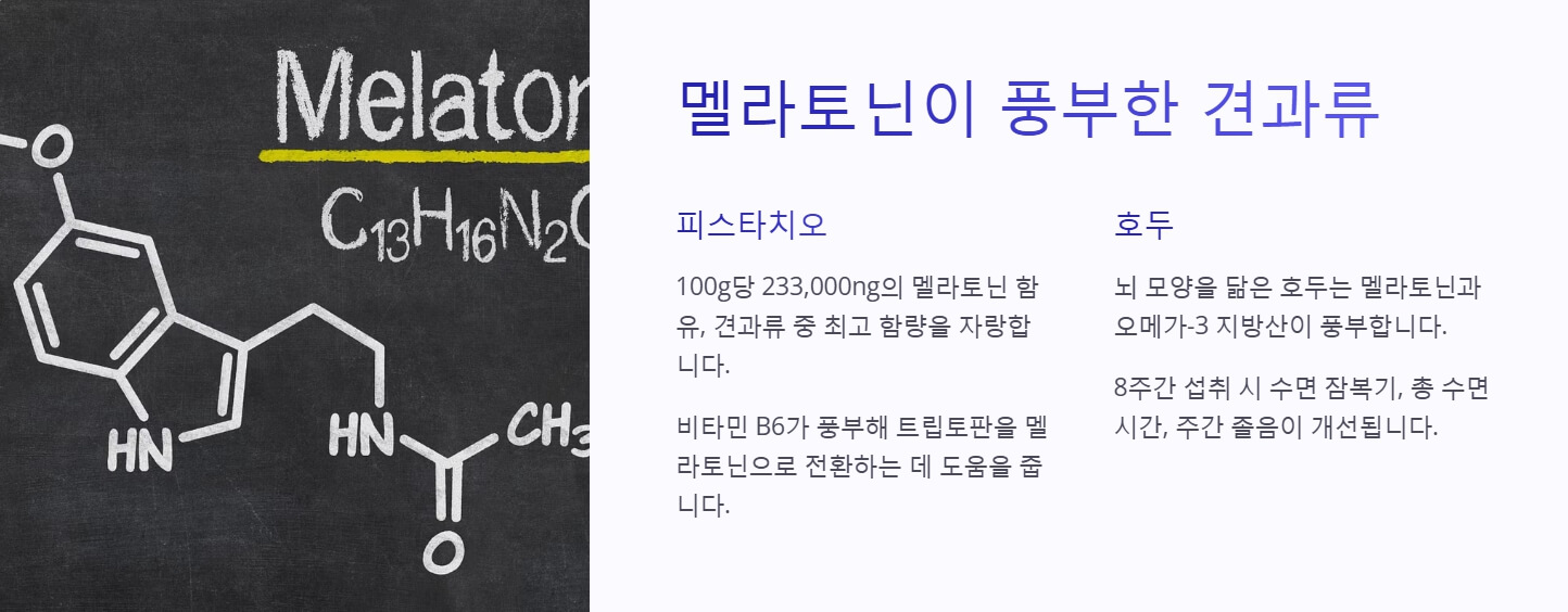 멜라토닌 많은 음식