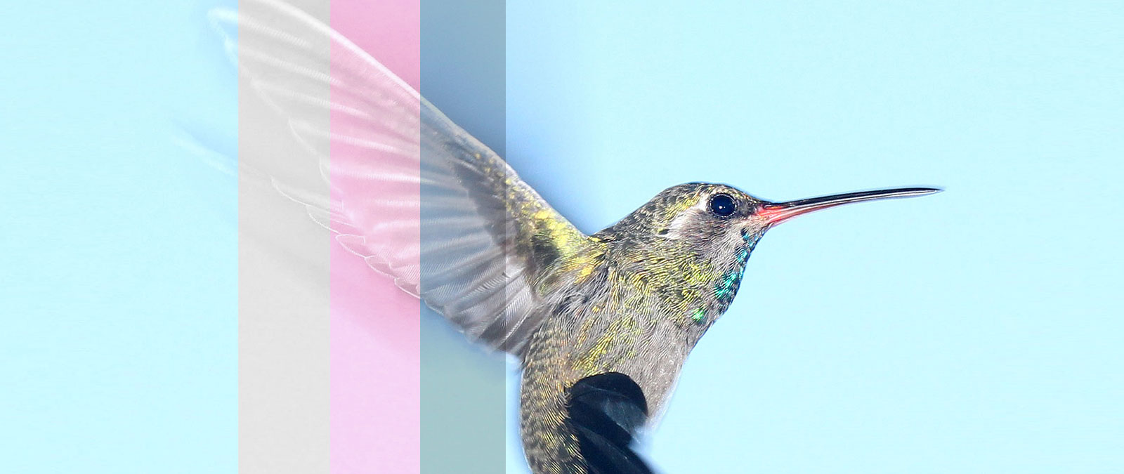CSS3 filter