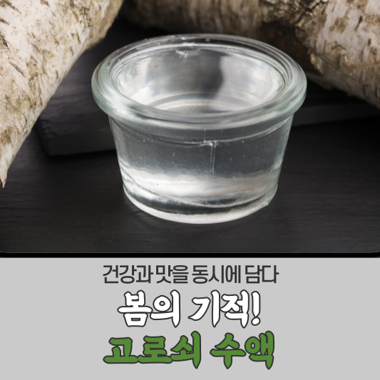 고로쇠 수액, 봄의 기적! 건강과 맛을 동시에 담다