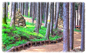 사천케이블카 자연휴양림