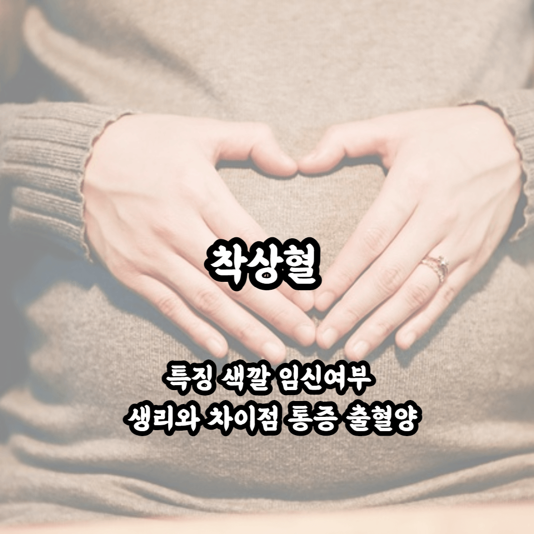 착상혈 특징 나오는 시기 특징 색깔 출혈양 통증 생리와 차이점 배란혈과 차이점 정리