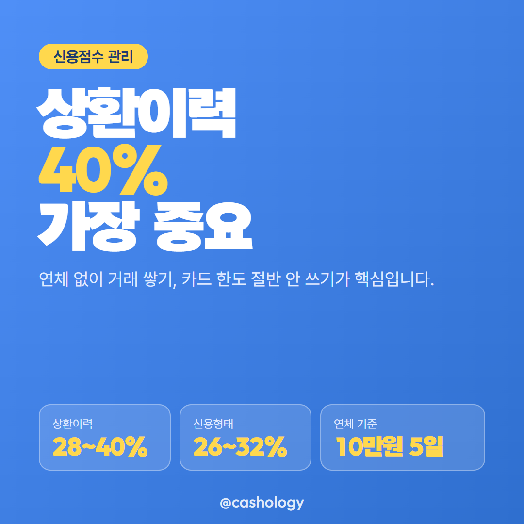 신용점수 평가요소 반영비중 카드