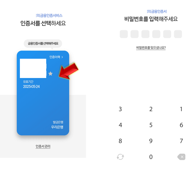 금융인증서-선택-및-비밀번호-입력