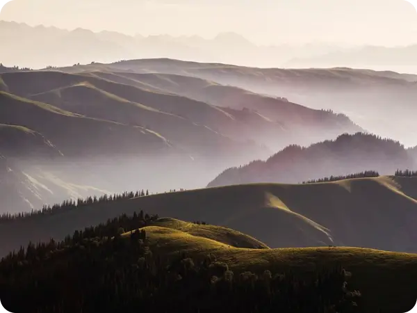 강릉시 가볼만한 곳