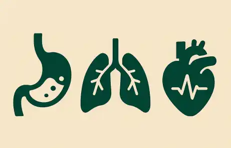 내과 진료 분과별 기능과 역할 - 소화기&middot;호흡기&middot;심장내과