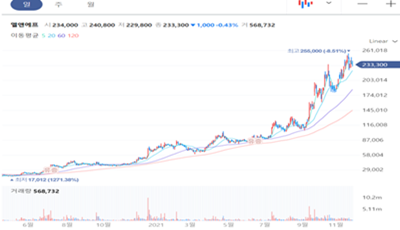 엘앤에프 일봉 차트