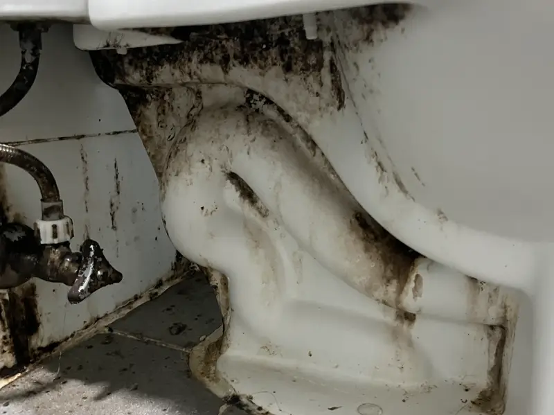 양변기 아래부분에 곰팡이가 핀 모습