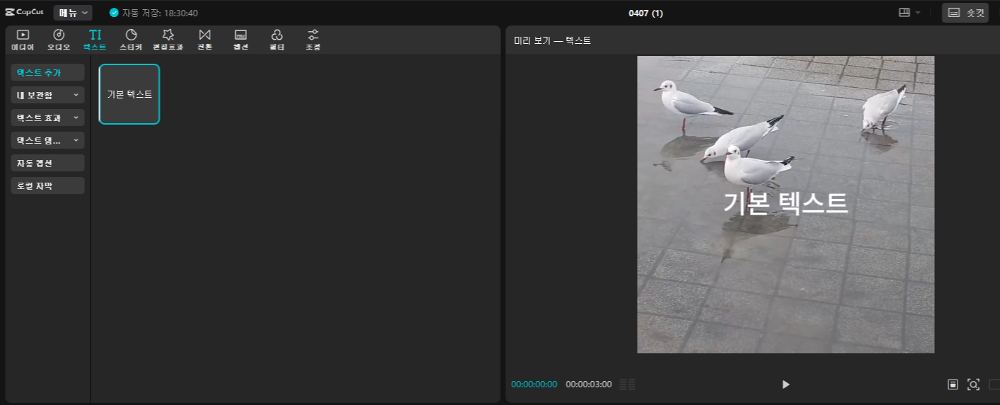 기본 자막 넣기