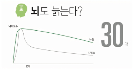 뇌도 늙는다?