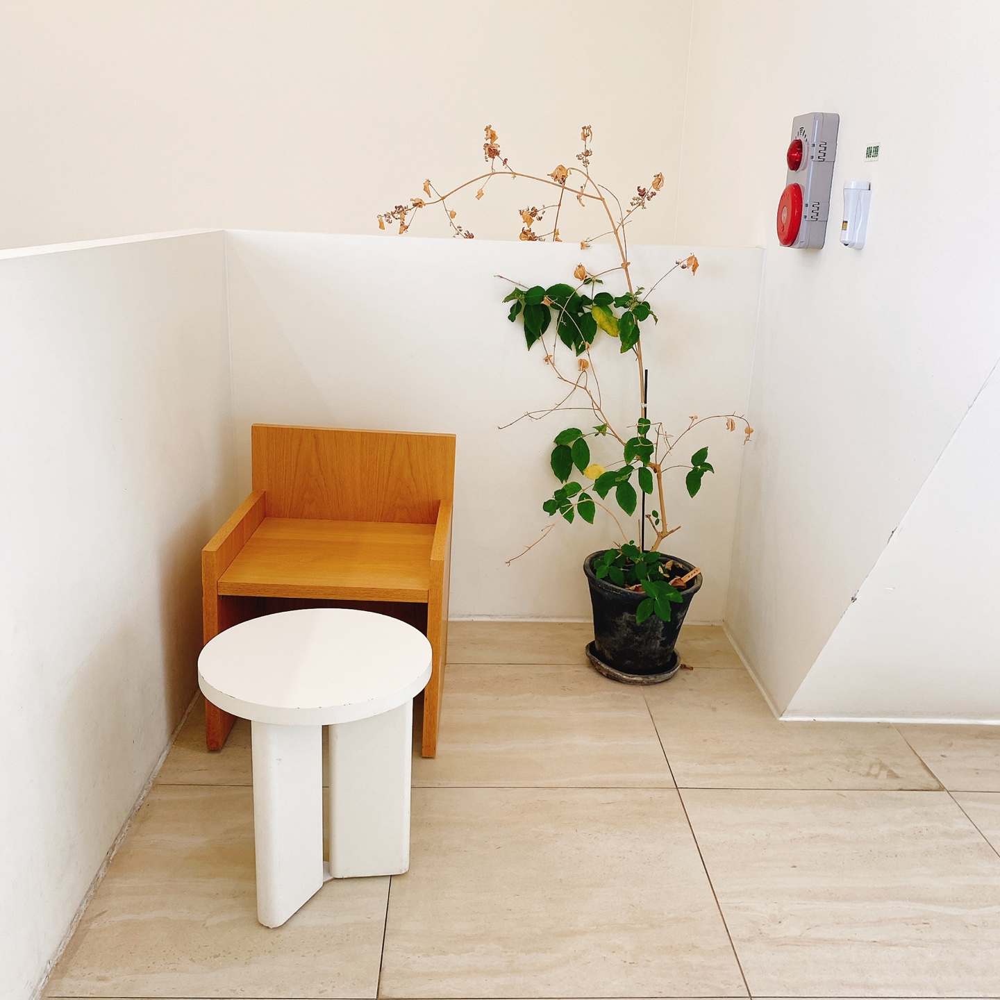 제주 한림공원 명월 디저트맛집 뵤뵤카페