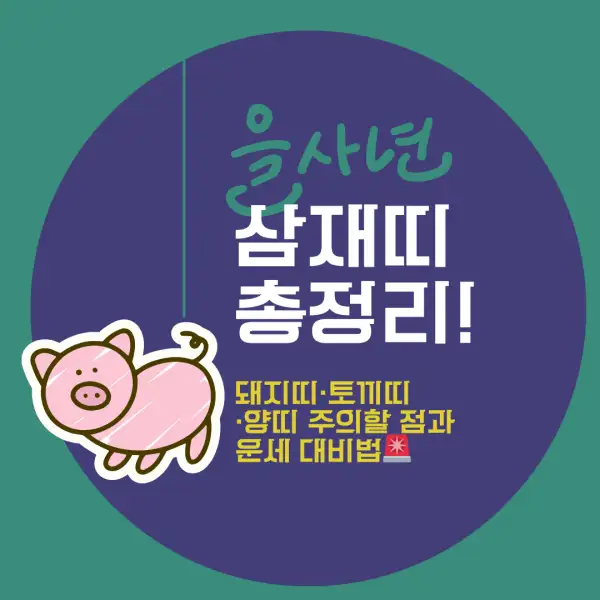 2025년 삼재띠 총정리!