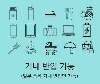 비행기 기내 수하물 반입 가능 금지 물품 최신 규정_21