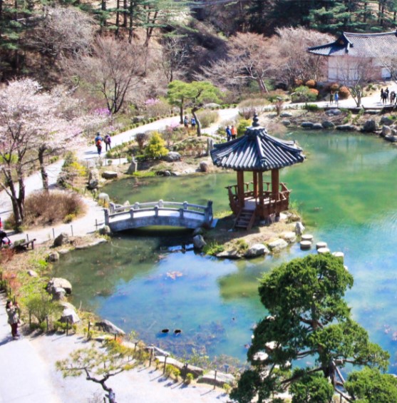 경기도 봄꽃구경