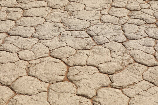 콜로디온 베이비&amp;#44; 층판비닐증이라는 이름은 생소하지만&amp;#44; 이 질병은 태어난 아기들 중 드물게 발생하는 특이한 피부 질환입니다. 이 피부 질환은 특이한 증상들과 함께 새로운 부모들을 놀라게 하고 있으며&amp;#44; 이에 대한 정보와 치료법이 필요합니다.