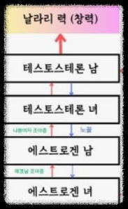 에겐 테토 테스트