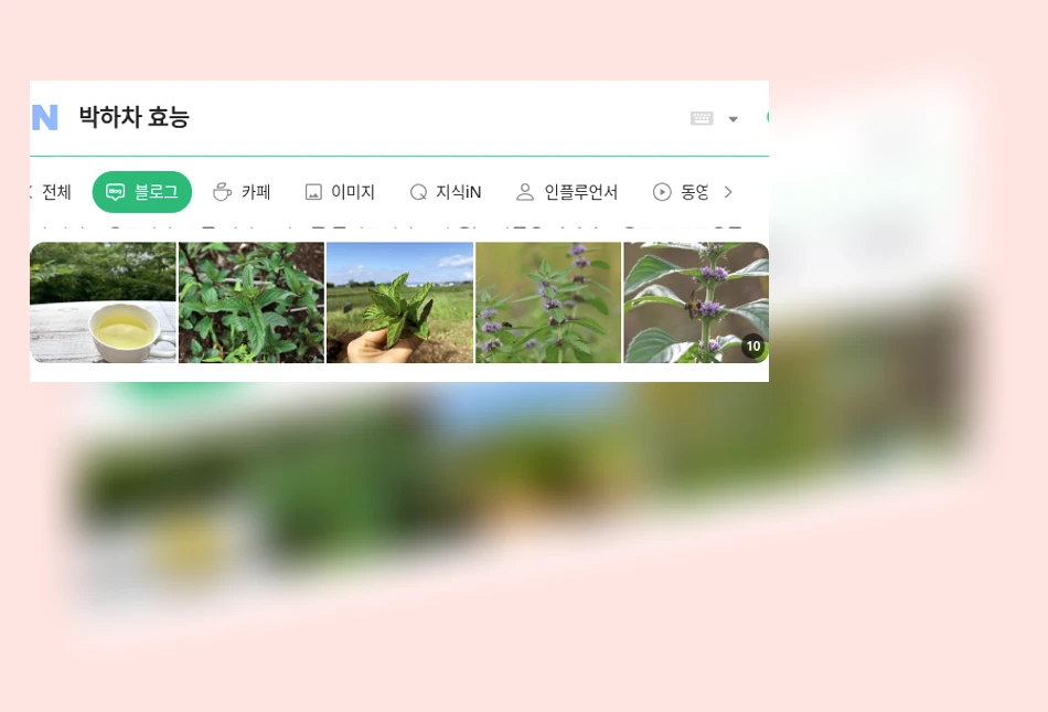 박하차 효능_1_subsection