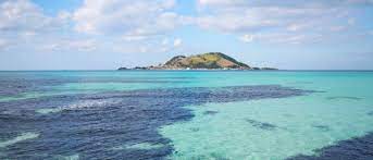 제주도 항공권 최저가 예약 방법 (실제후기)