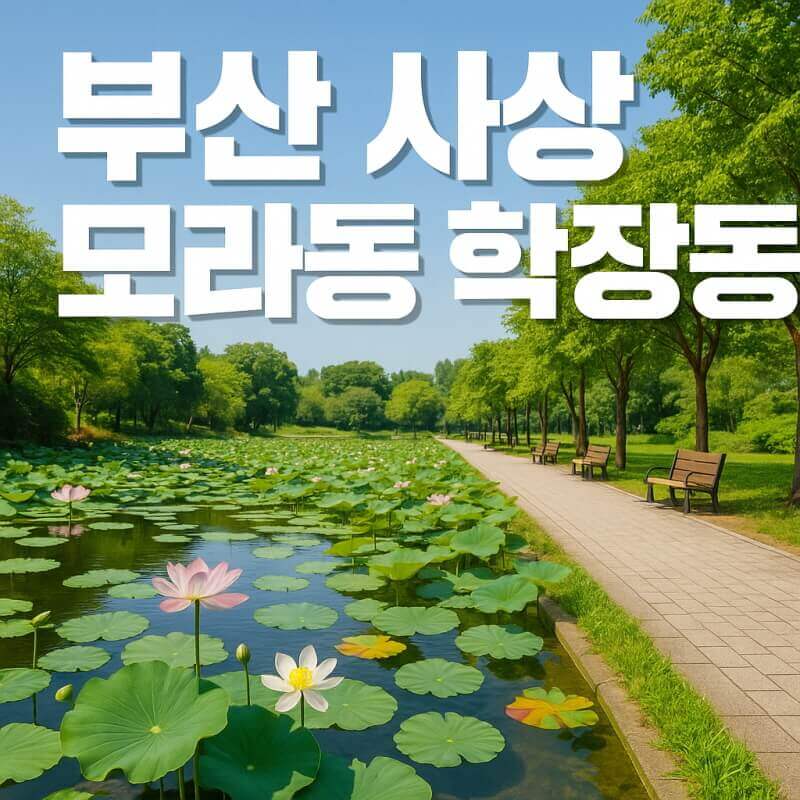 부산 가볼 만한 곳 (사상, 모라동, 학장동) 관련사진