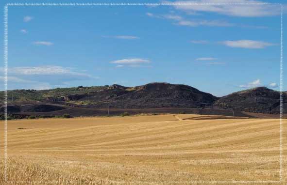 2025년 장마기간 예측