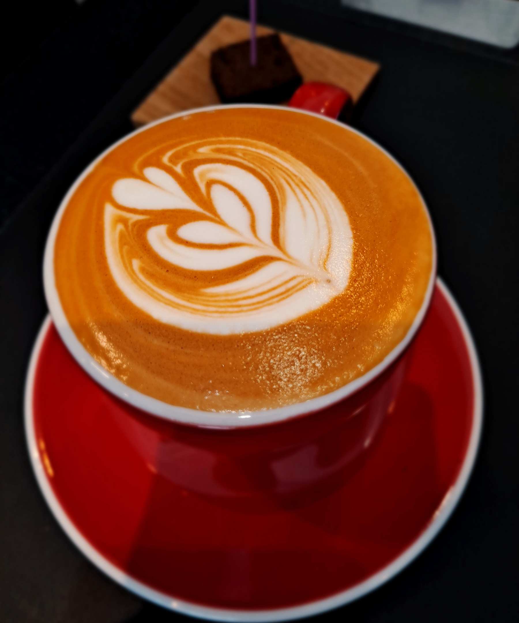 1-2-1 윙튤립 플랫화이트 잔에 담다