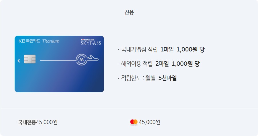 스카이패스 티타늄 카드