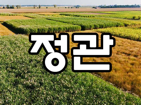 정관 사주 썸네일