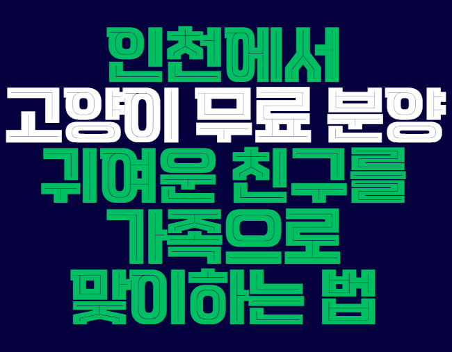 인천_고양이