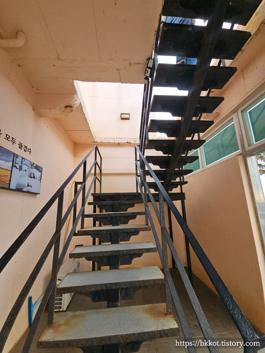 제주도 카페물썹