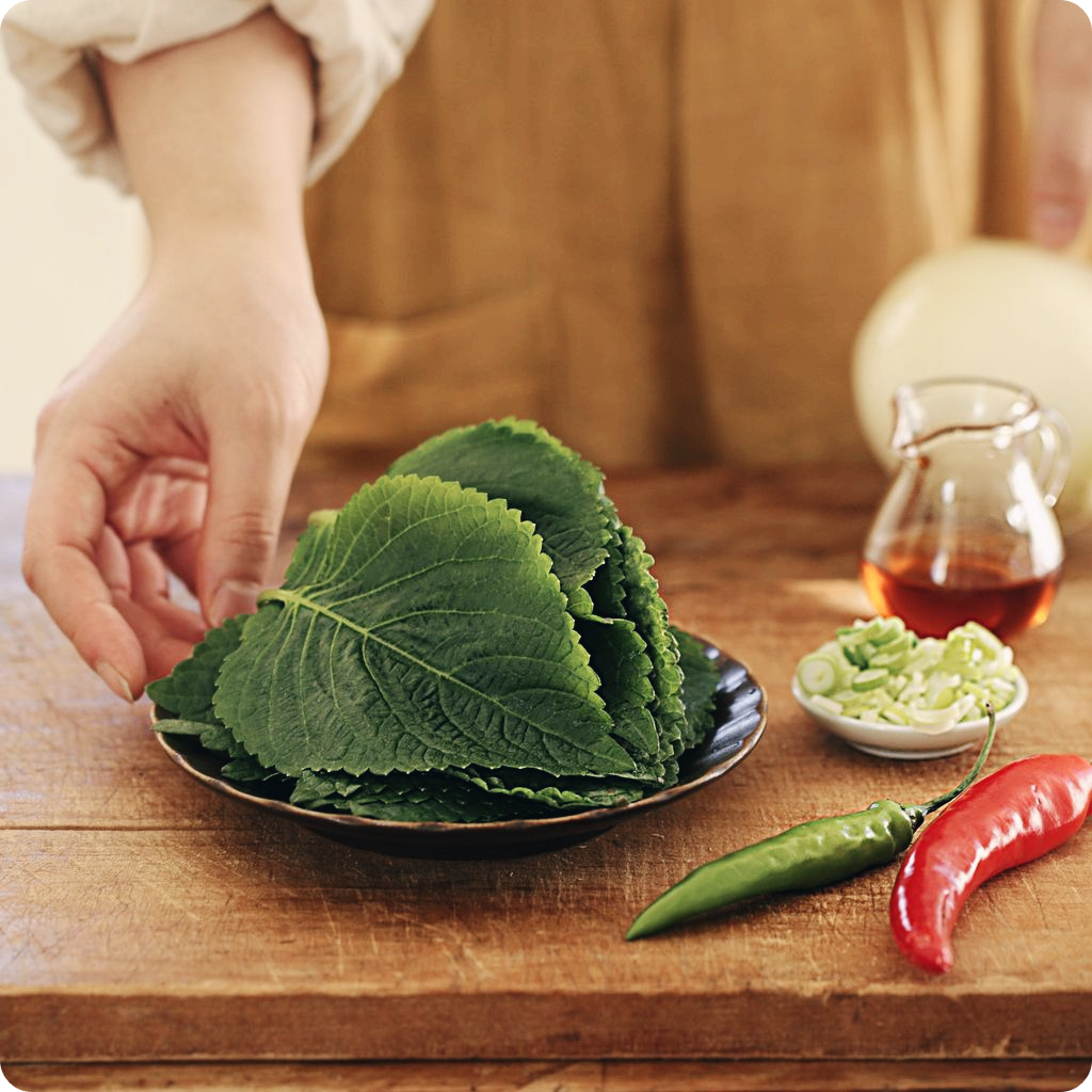깻잎-효능