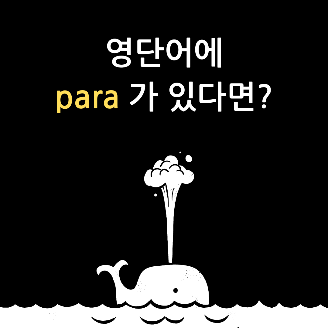 어근 'para'가 들어간 어휘 총정리