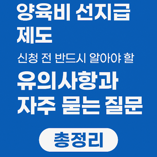 양육비 선지급제도 유의사항과 자주묻는 질문 총정리