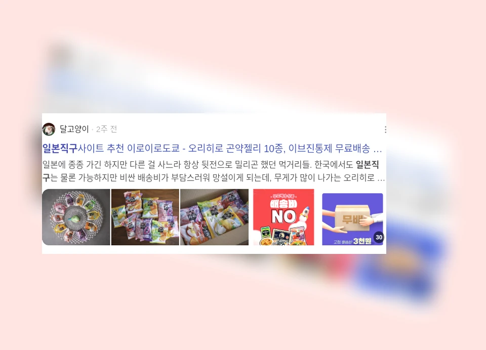일본 직구_3_subsection