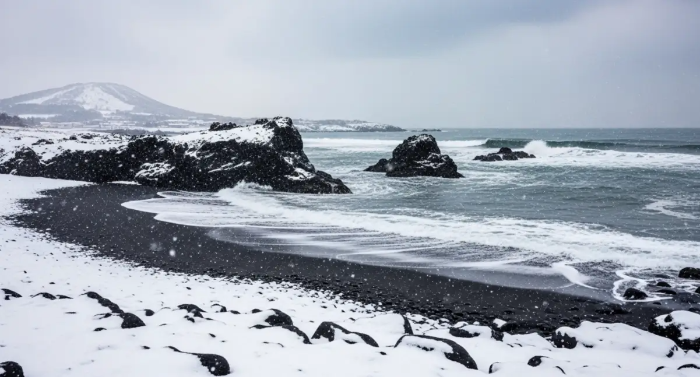겨울 제주도 해변