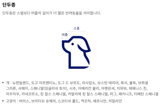 대한항공 반려동물 동반 좌석 신청방법