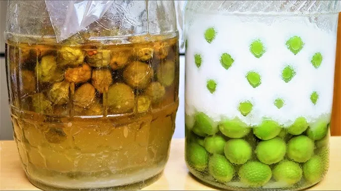 매실청 담그는법 황금비율과 숙성관리 노하우 정리_6