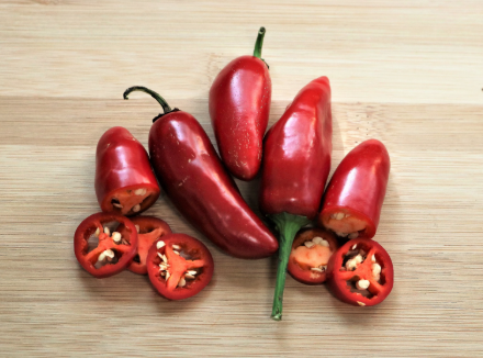 할라피뇨_주의사항