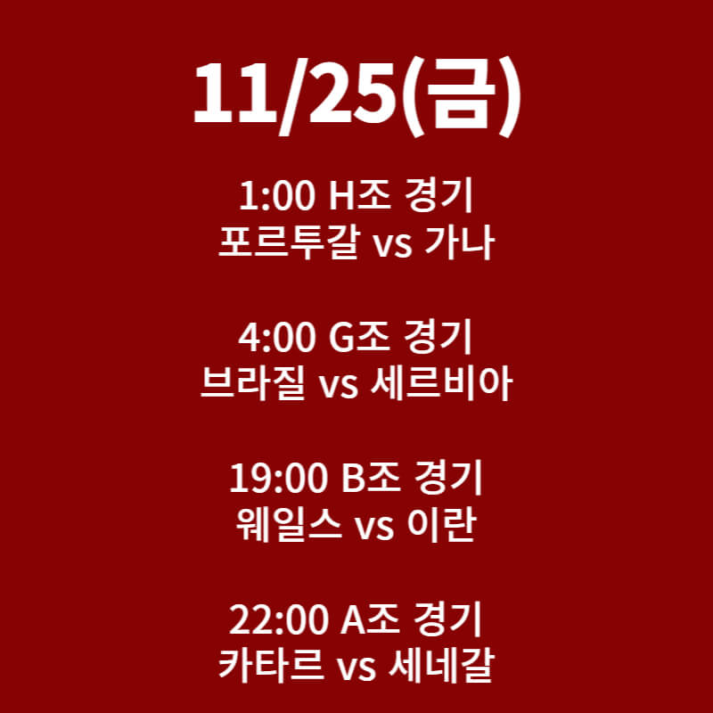 카타르 월드컵 일정