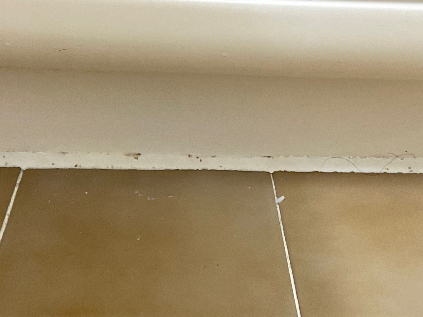 오래된 곰팡이제거